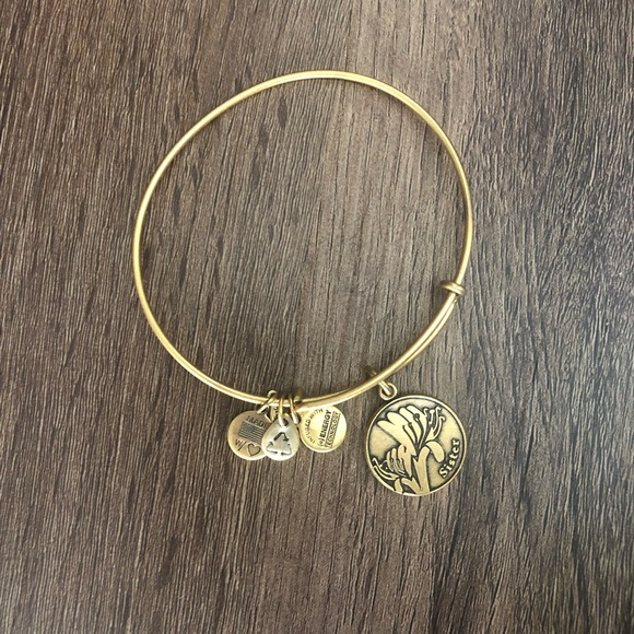 Alex and Ani sister Bangle - Picture 1 of 3
